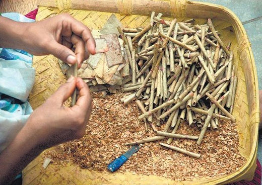 beedi workers